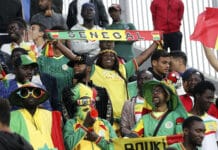 Senegal football team fans