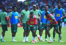 Current Super Eagles Players and their State of Origin